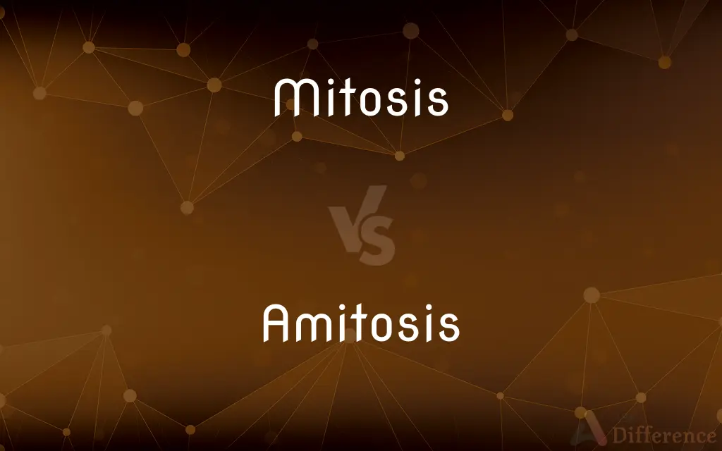 Mitosis vs. Amitosis — What's the Difference?