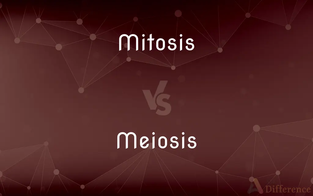 Mitosis vs. Meiosis — What's the Difference?
