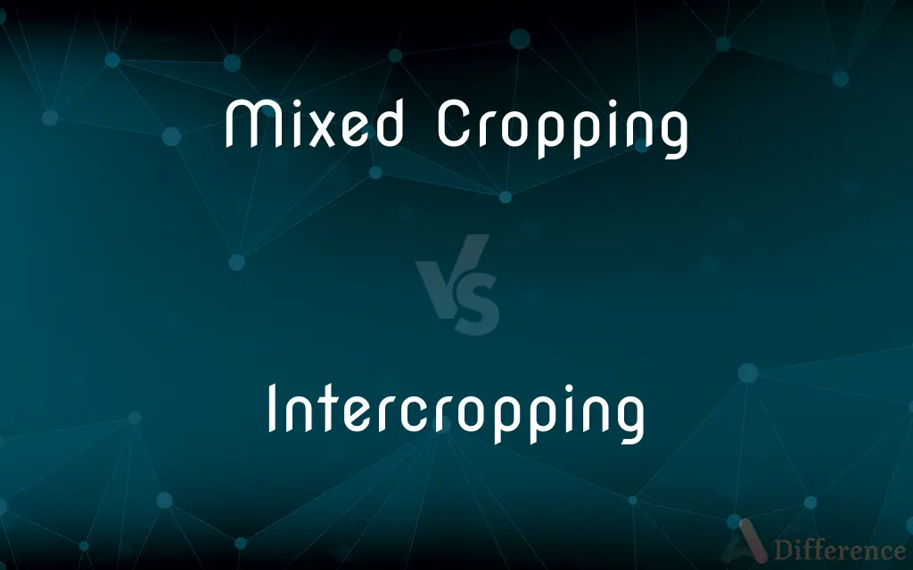 Mixed Cropping vs. Intercropping — What's the Difference?