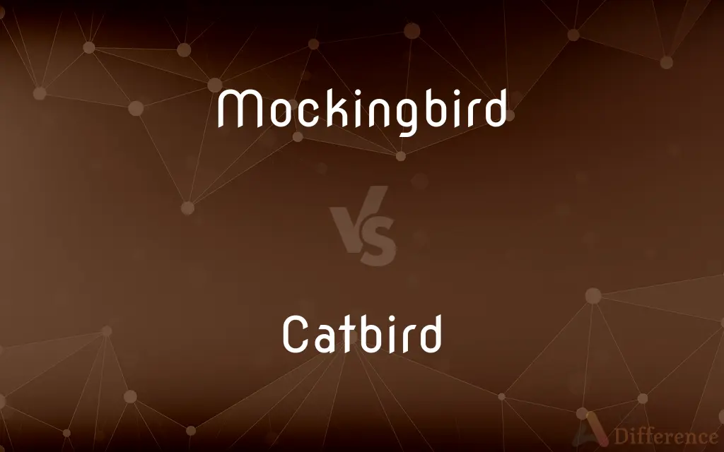 Mockingbird vs. Catbird — What's the Difference?