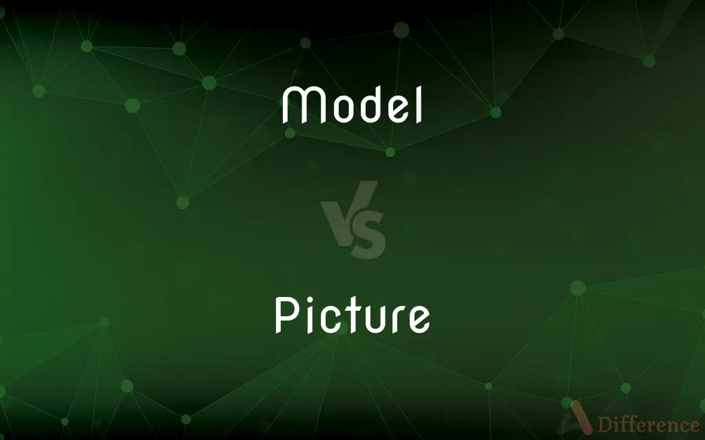 Model vs. Picture — What's the Difference?