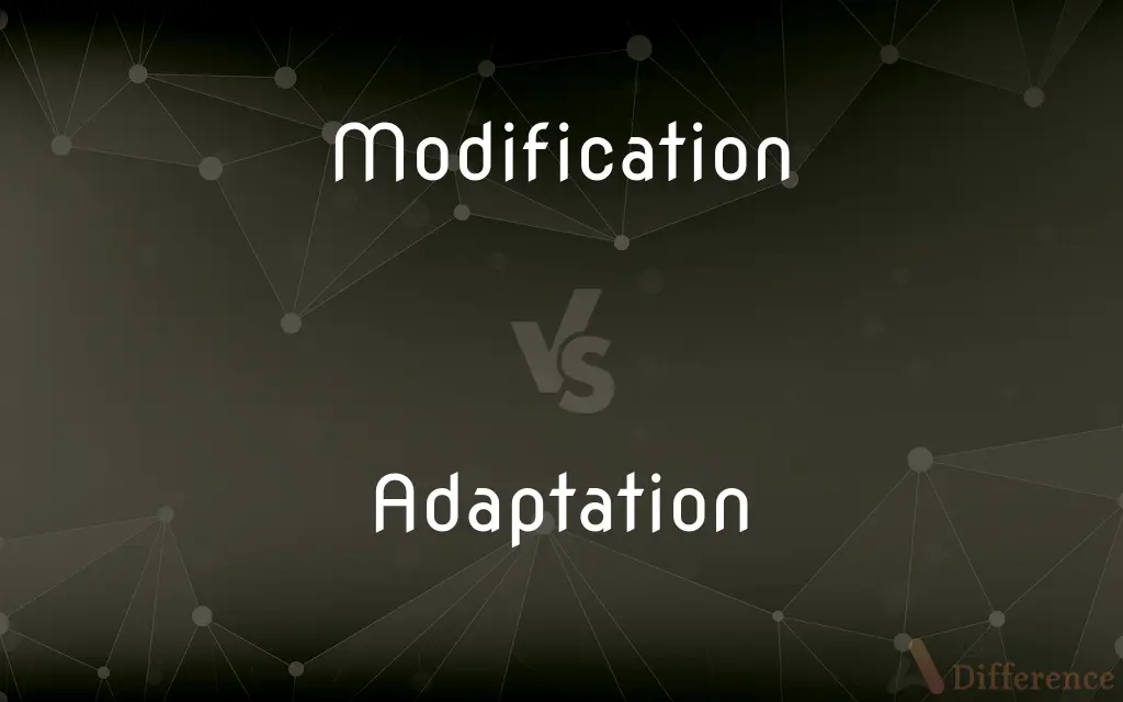 Modification vs. Adaptation — What's the Difference?