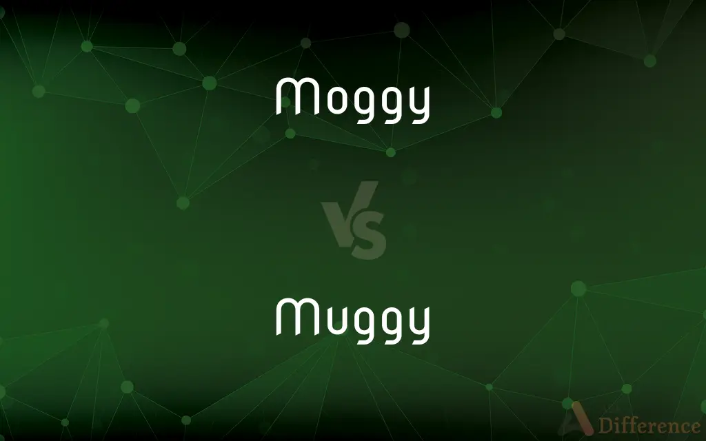 Moggy vs. Muggy — What's the Difference?