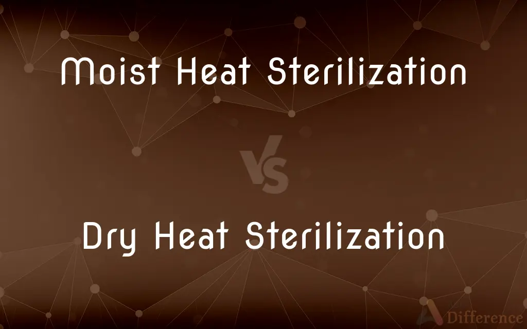 Moist Heat Sterilization vs. Dry Heat Sterilization — What's the Difference?