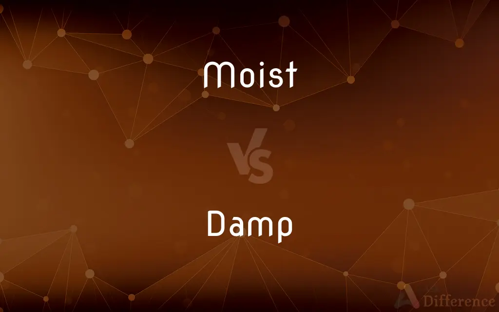 Moist vs. Damp — What's the Difference?