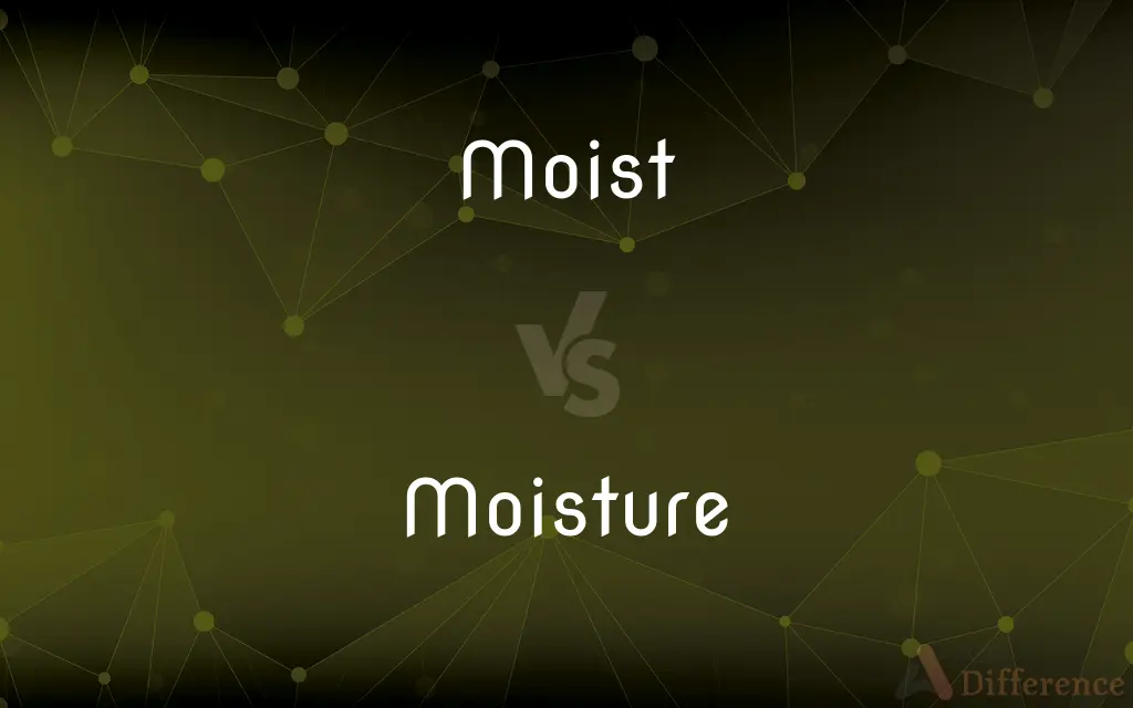 Moist vs. Moisture — What's the Difference?