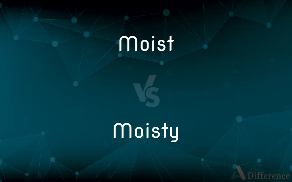 Moist vs. Moisty — What's the Difference?