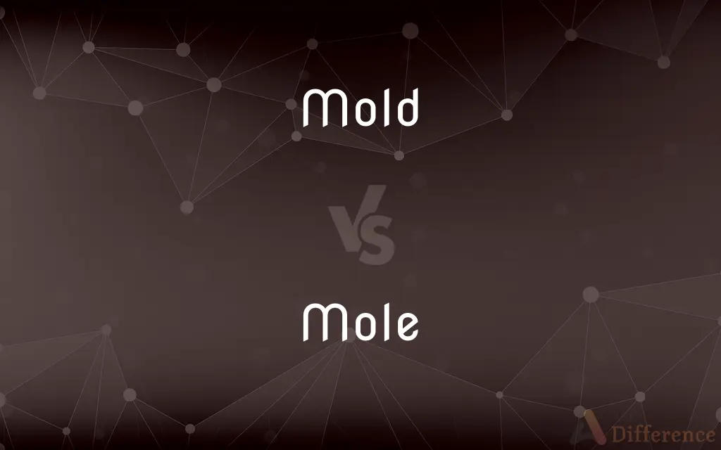 Mold vs. Mole — What's the Difference?