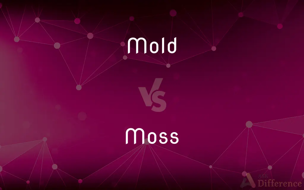 Mold vs. Moss — What's the Difference?