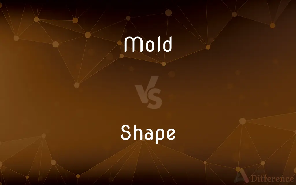 Mold vs. Shape — What's the Difference?