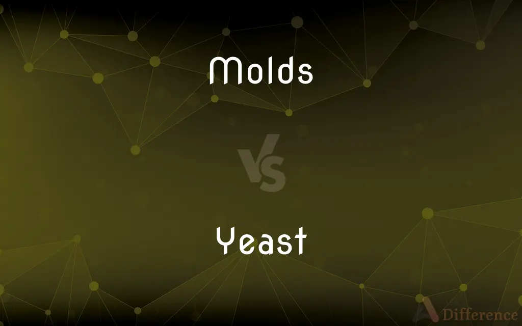 Molds vs. Yeast — What's the Difference?