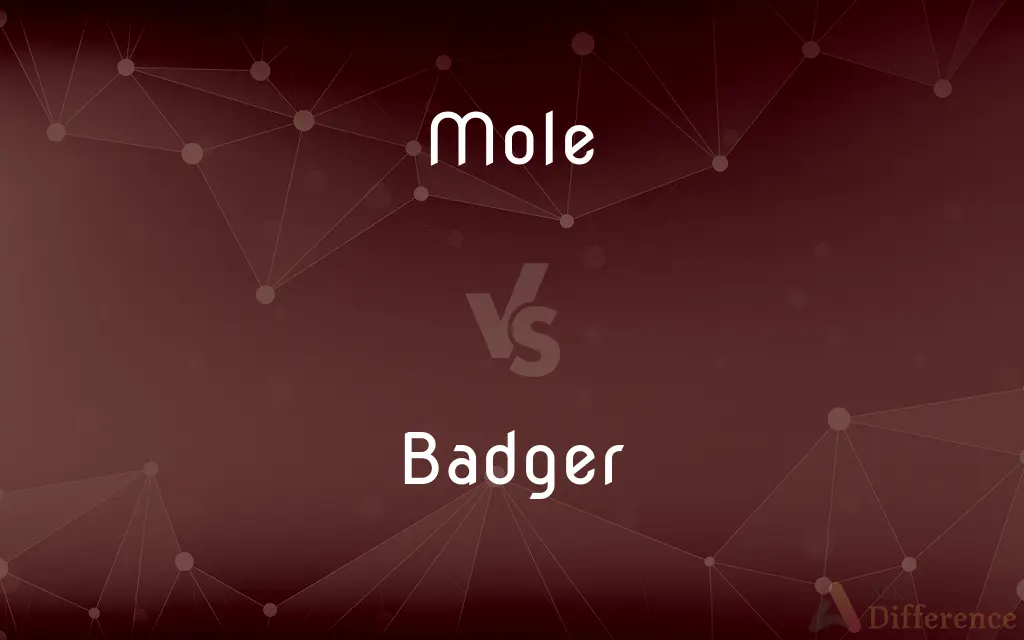 Mole vs. Badger — What's the Difference?