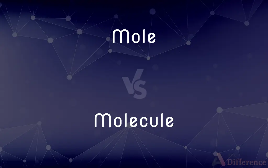 Mole vs. Molecule — What's the Difference?