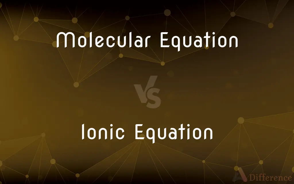 Molecular Equation vs. Ionic Equation — What's the Difference?