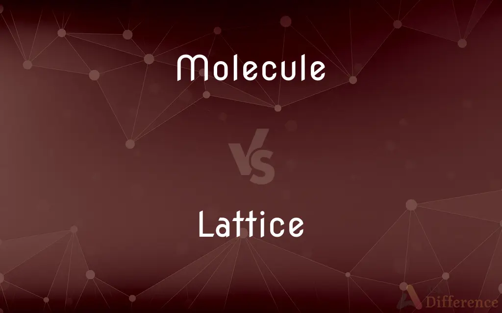 Molecule vs. Lattice — What's the Difference?