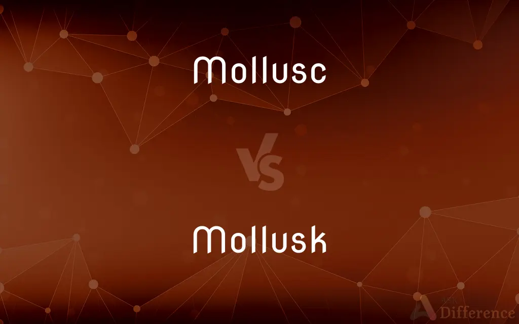 Mollusc vs. Mollusk — What's the Difference?