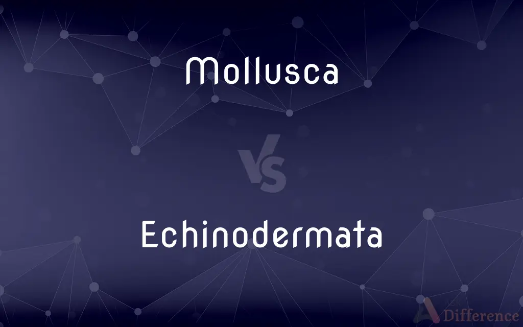 Mollusca vs. Echinodermata — What's the Difference?