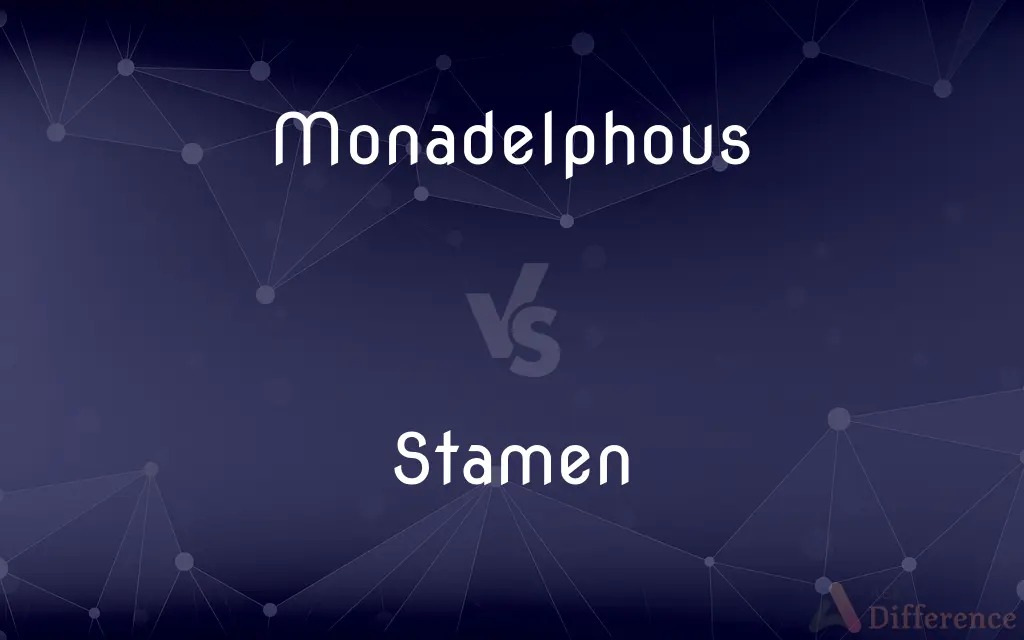 Monadelphous vs. Stamen — What's the Difference?