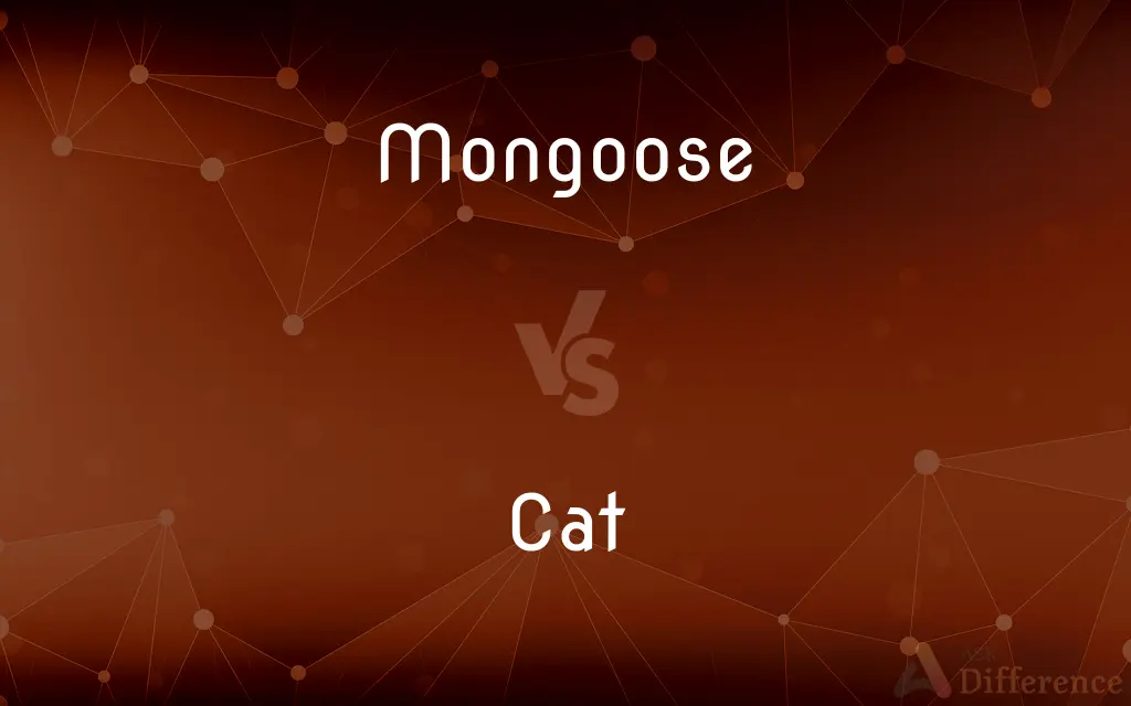 Mongoose vs. Cat — What's the Difference?