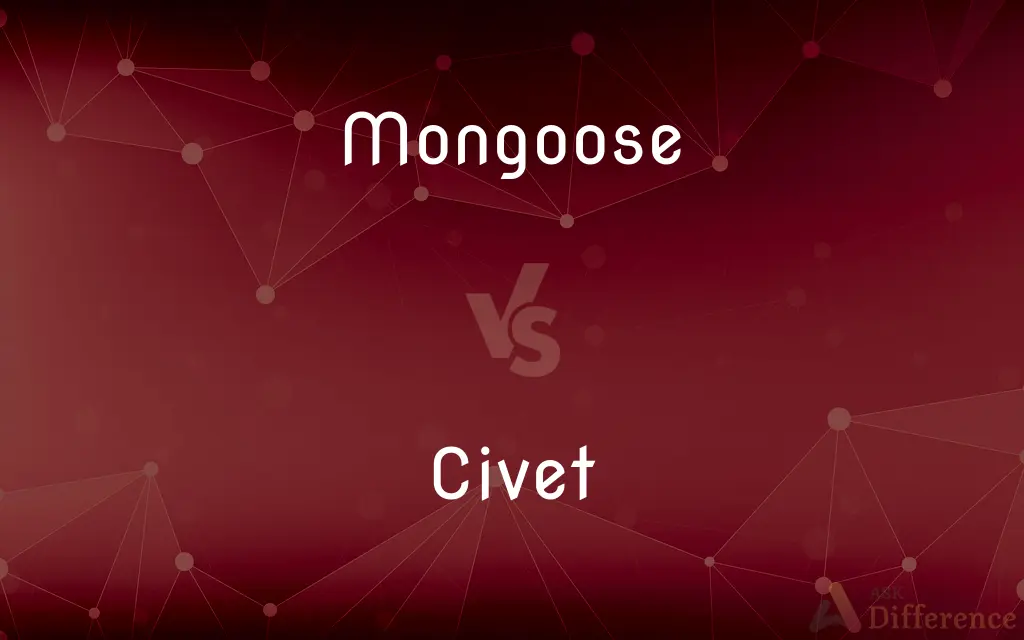 Mongoose vs. Civet — What's the Difference?