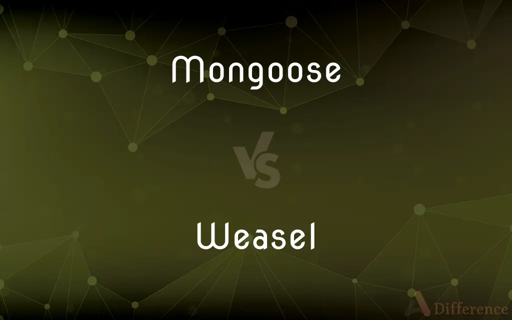 Mongoose vs. Weasel — What's the Difference?
