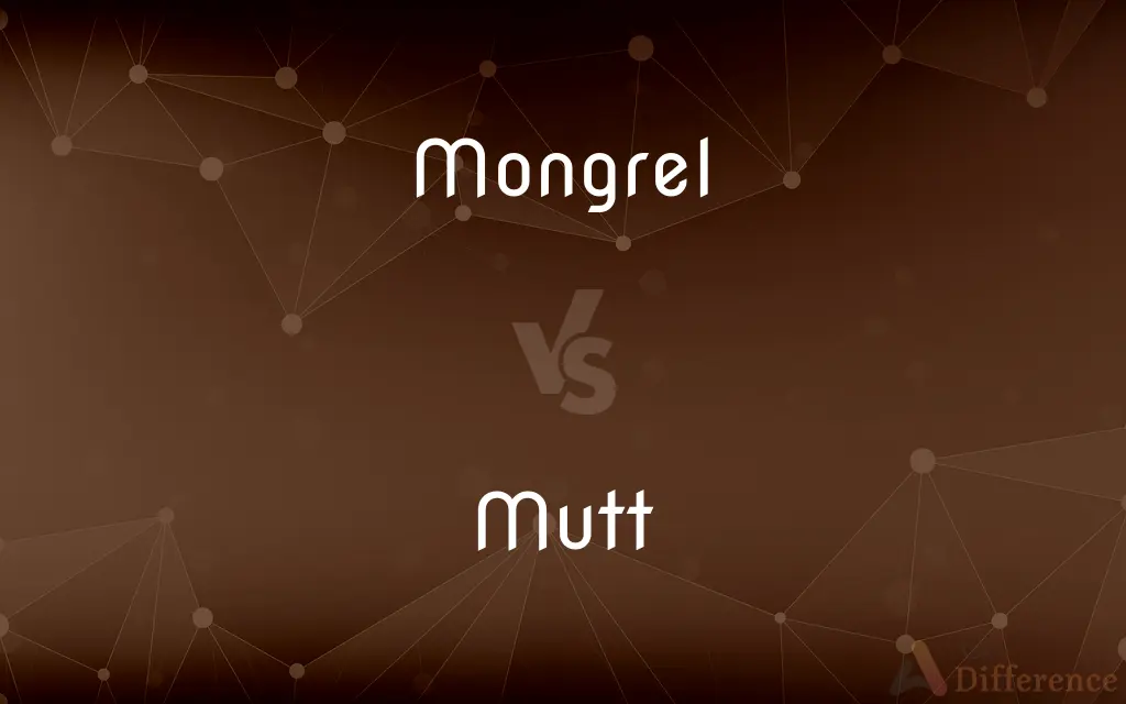 Mongrel vs. Mutt — What's the Difference?