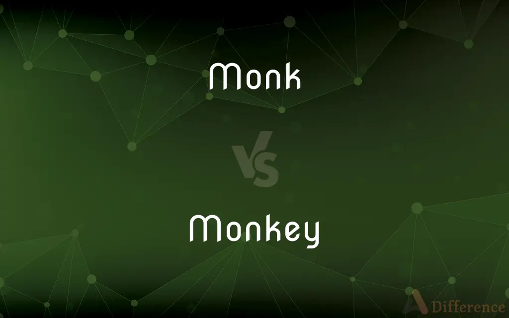 Monk vs. Monkey — What's the Difference?