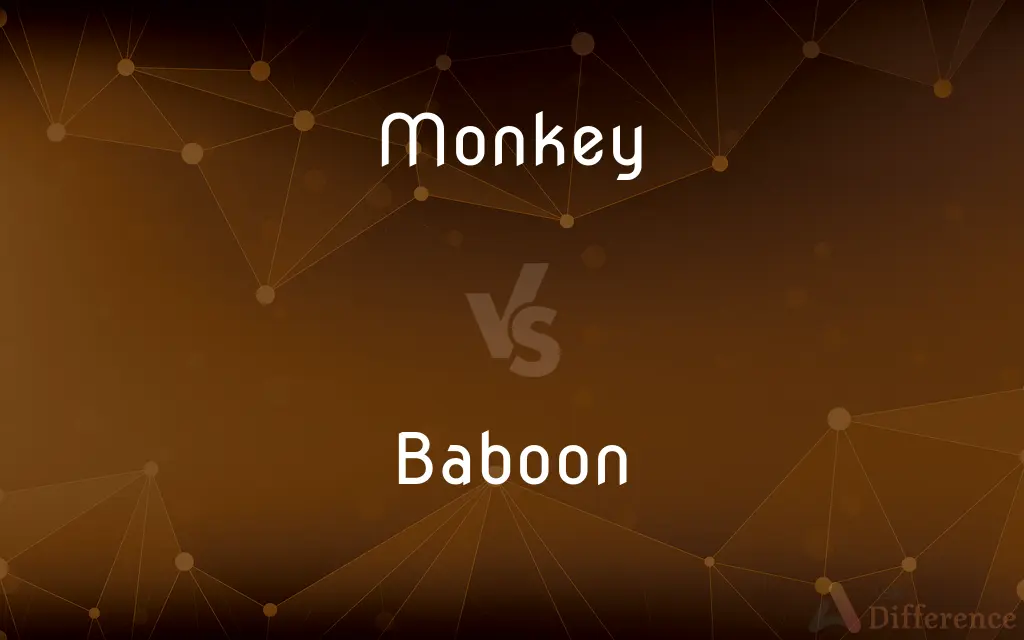 Monkey vs. Baboon — What's the Difference?