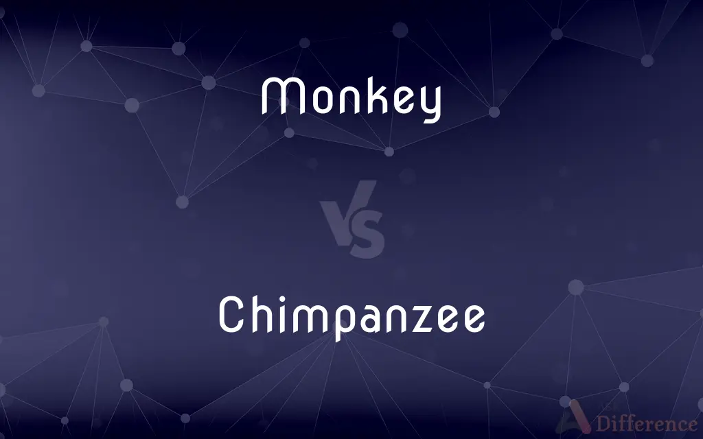 Monkey vs. Chimpanzee — What's the Difference?