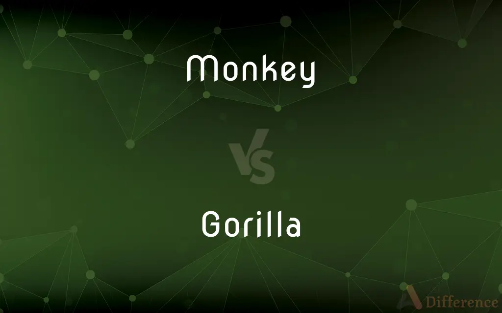 Monkey vs. Gorilla — What's the Difference?
