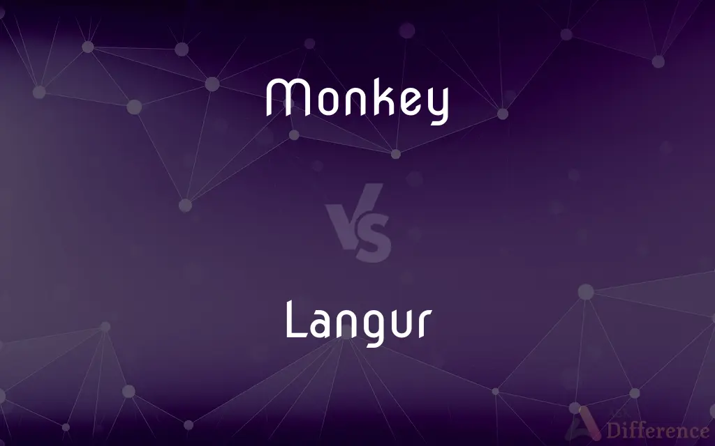 Monkey vs. Langur — What's the Difference?