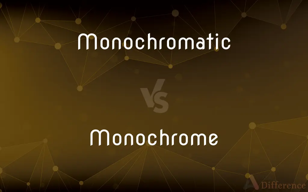 Monochromatic vs. Monochrome — What's the Difference?