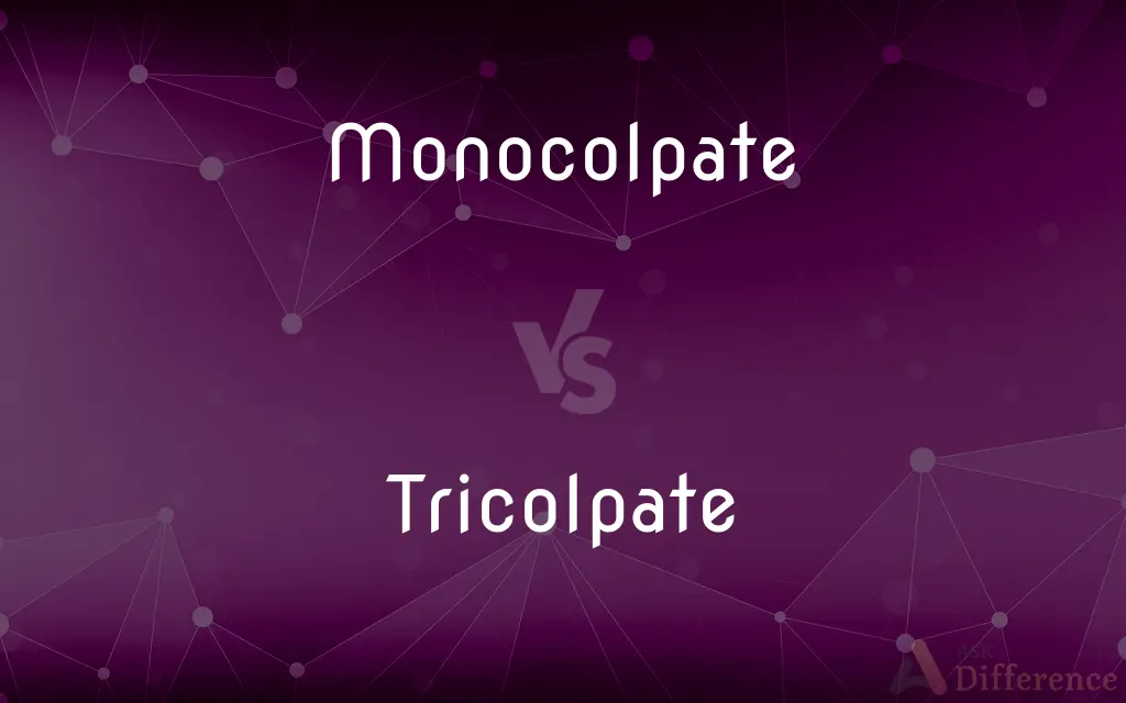 Monocolpate vs. Tricolpate — What's the Difference?