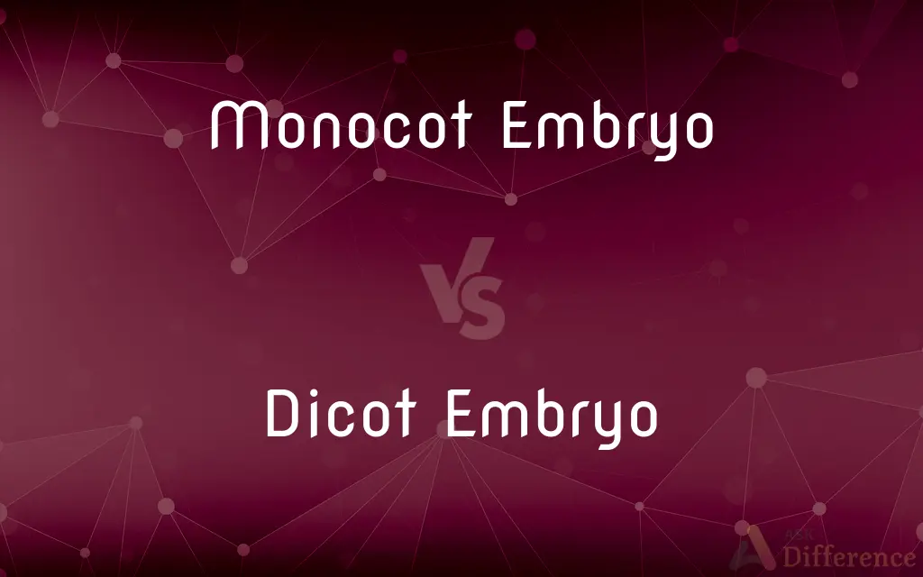 Monocot Embryo vs. Dicot Embryo — What's the Difference?