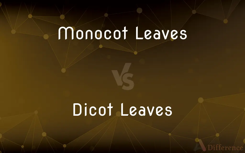 Monocot Leaves vs. Dicot Leaves — What's the Difference?