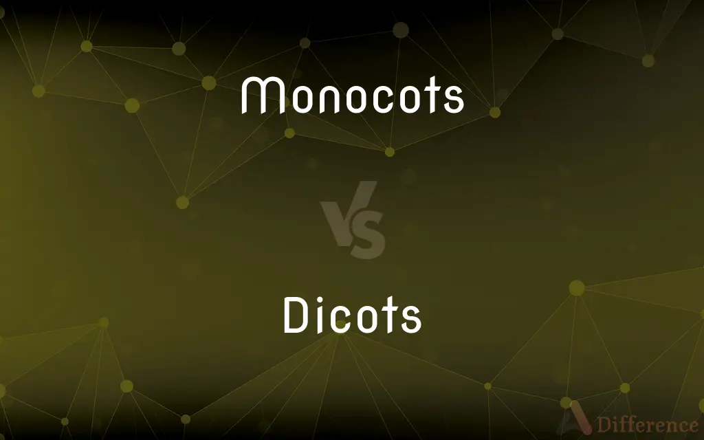 Monocots vs. Dicots — What's the Difference?