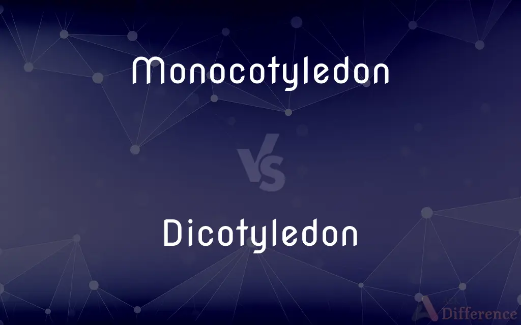 Monocotyledon vs. Dicotyledon — What's the Difference?