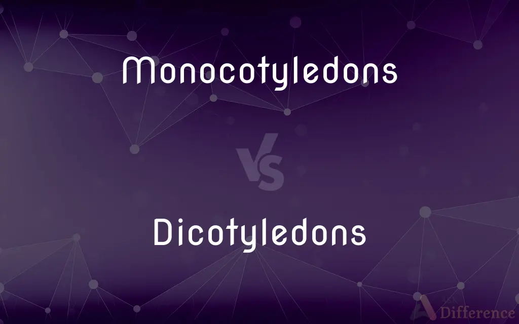 Monocotyledons vs. Dicotyledons — What's the Difference?