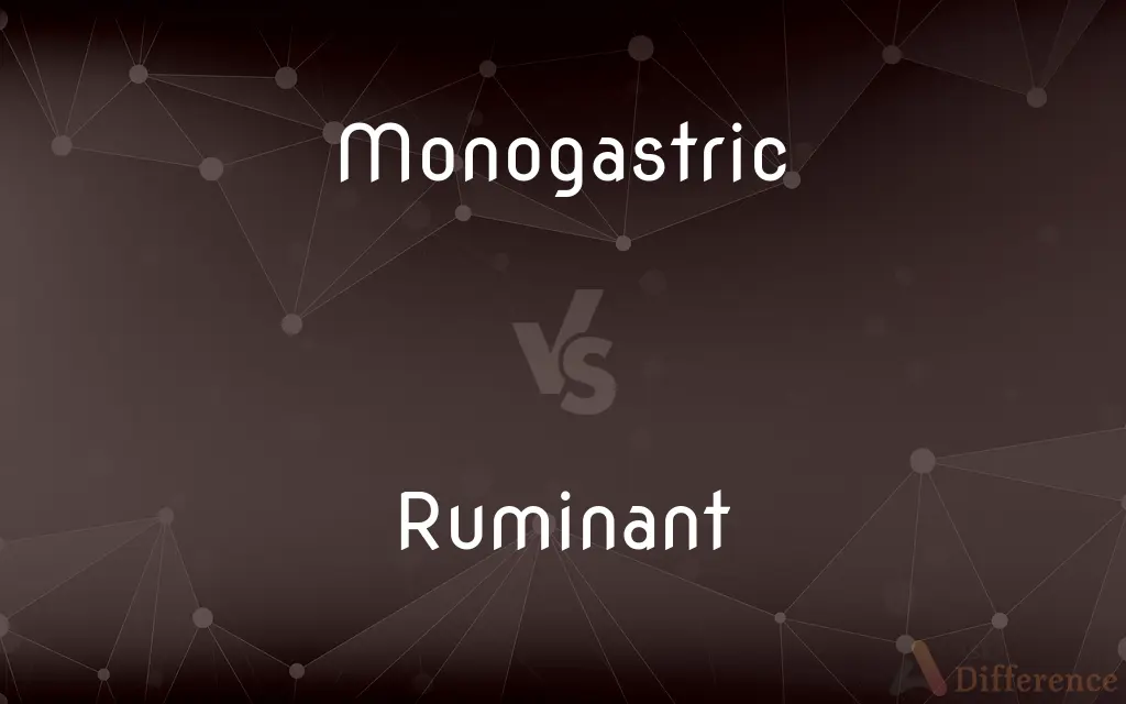 Monogastric vs. Ruminant — What's the Difference?