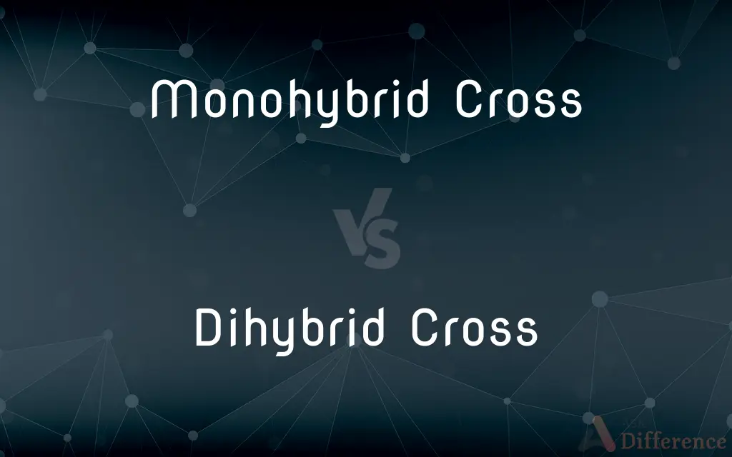 Monohybrid Cross vs. Dihybrid Cross — What's the Difference?