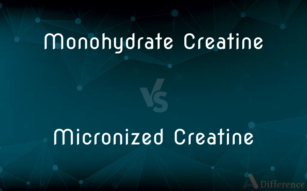 Monohydrate Creatine vs. Micronized Creatine — What's the Difference?