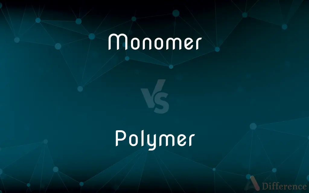 Monomer vs. Polymer — What's the Difference?