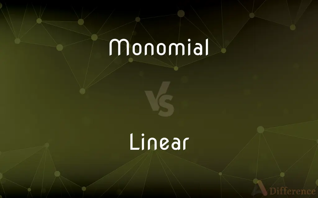 Monomial vs. Linear — What's the Difference?