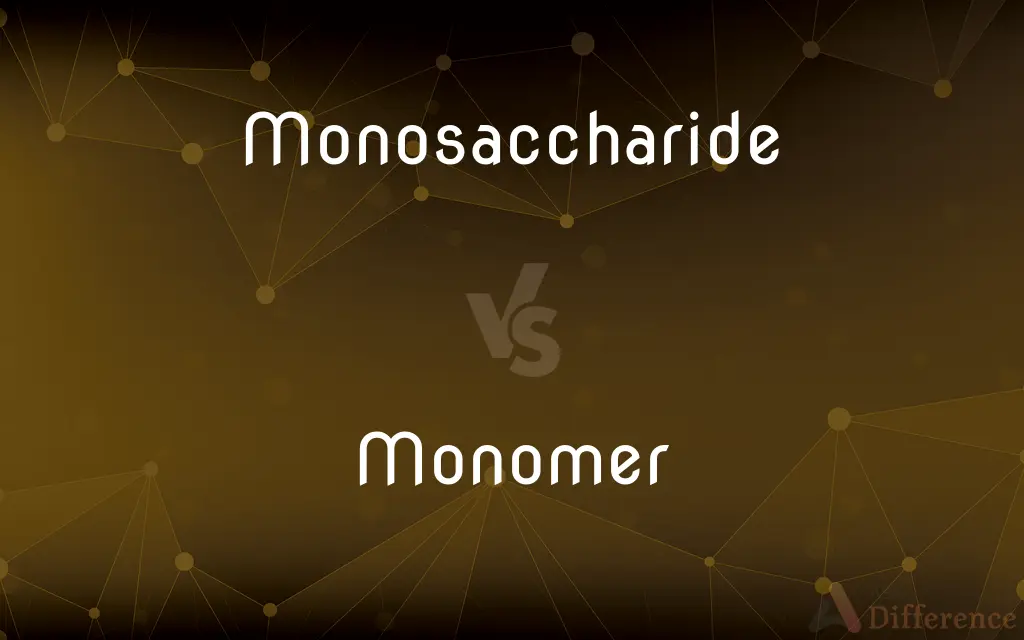 Monosaccharide vs. Monomer — What's the Difference?