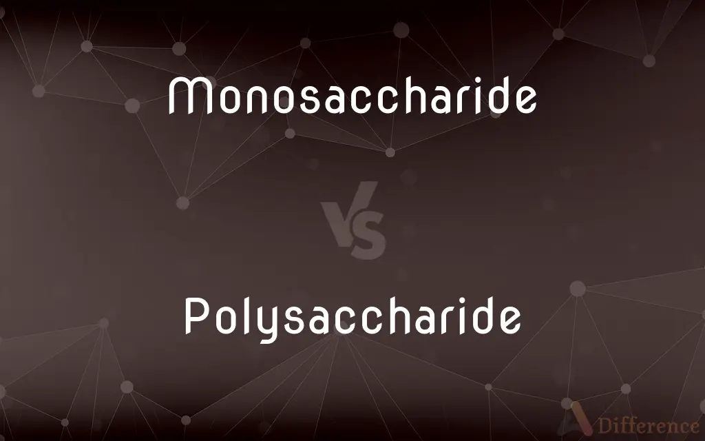 Monosaccharide vs. Polysaccharide — What's the Difference?