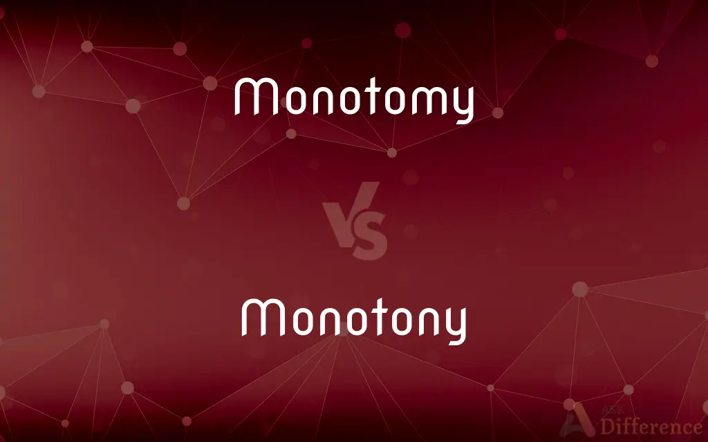 Monotomy vs. Monotony — Which is Correct Spelling?