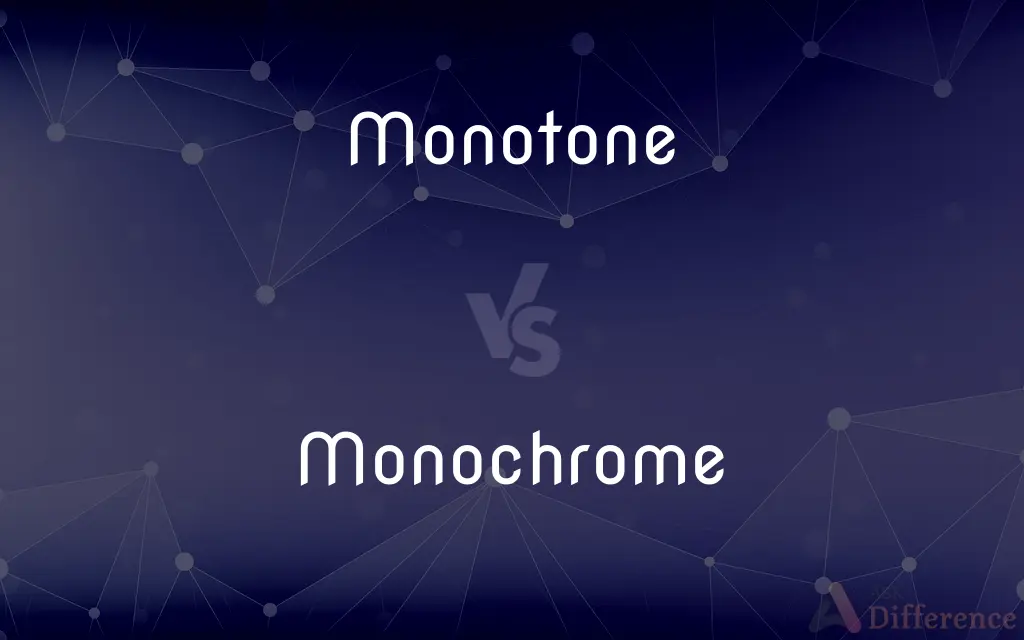 Monotone vs. Monochrome — What's the Difference?