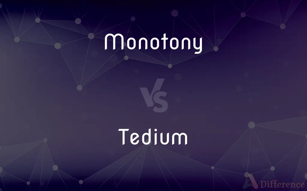 Monotony vs. Tedium — What's the Difference?