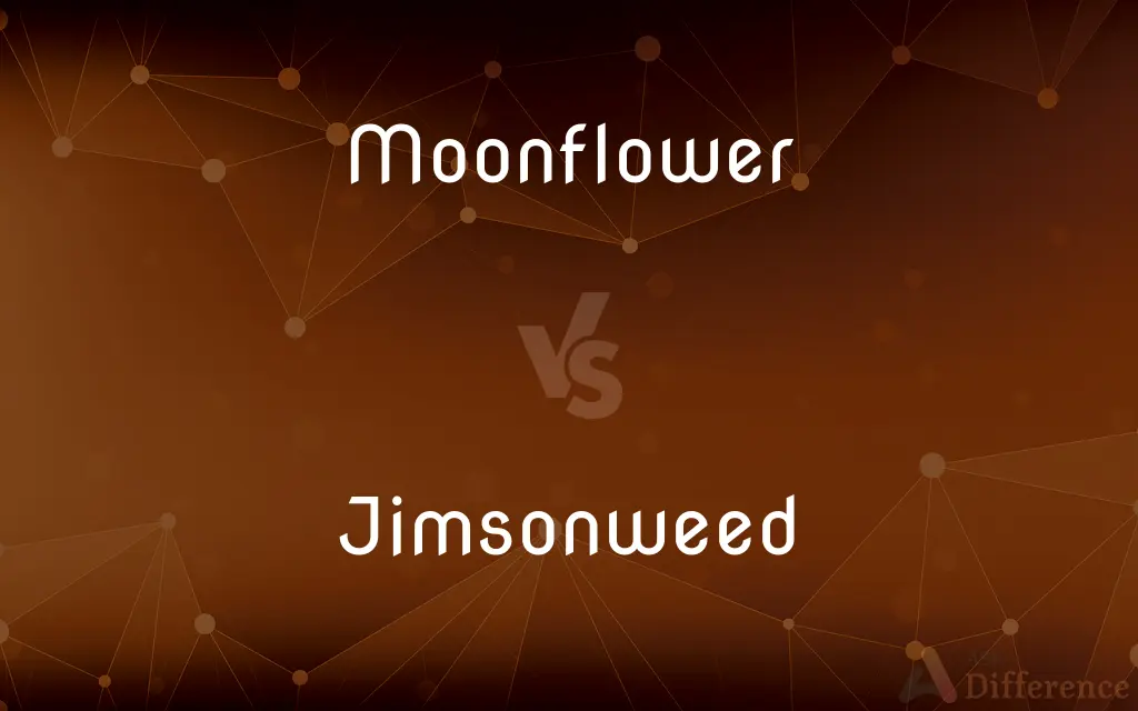 Moonflower vs. Jimsonweed — What's the Difference?