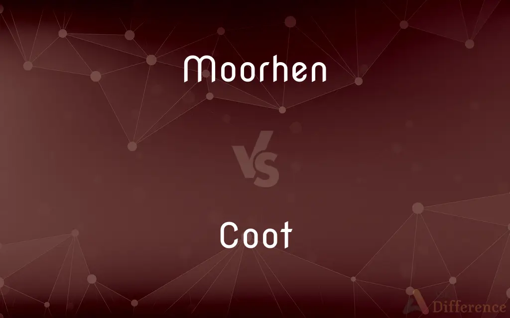 Moorhen vs. Coot — What's the Difference?
